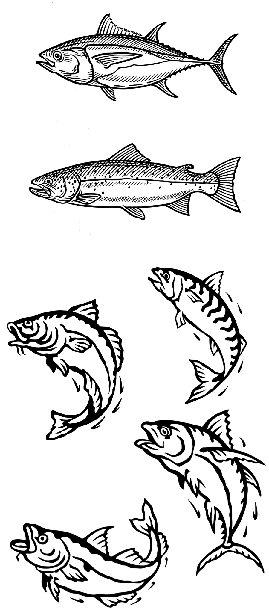 Fish engraving, woodcut